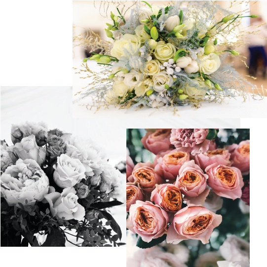 Tips for Choosing Flowers on Your Wedding Day