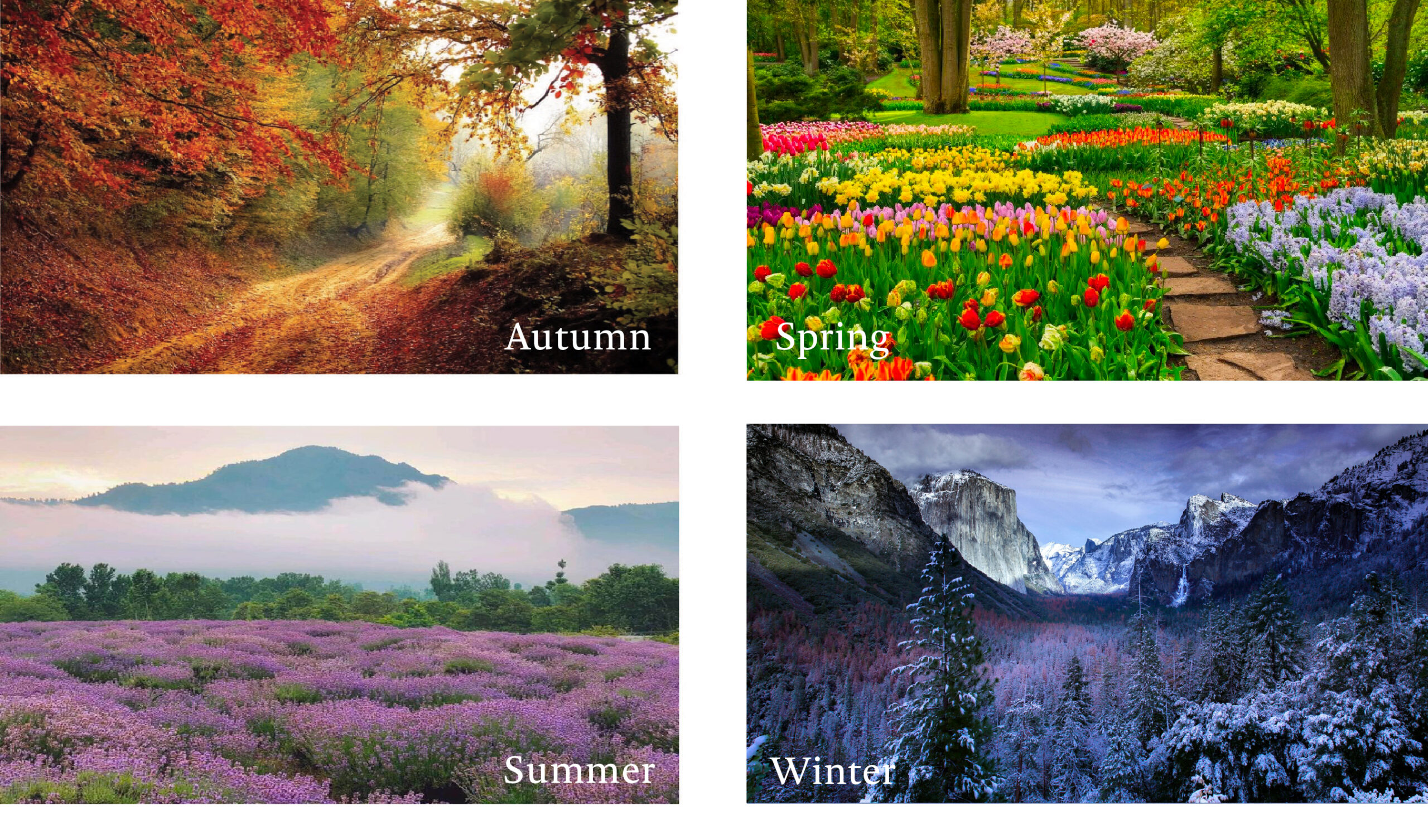 4 seasons seasons in nature example Seasonal Colour Analysis